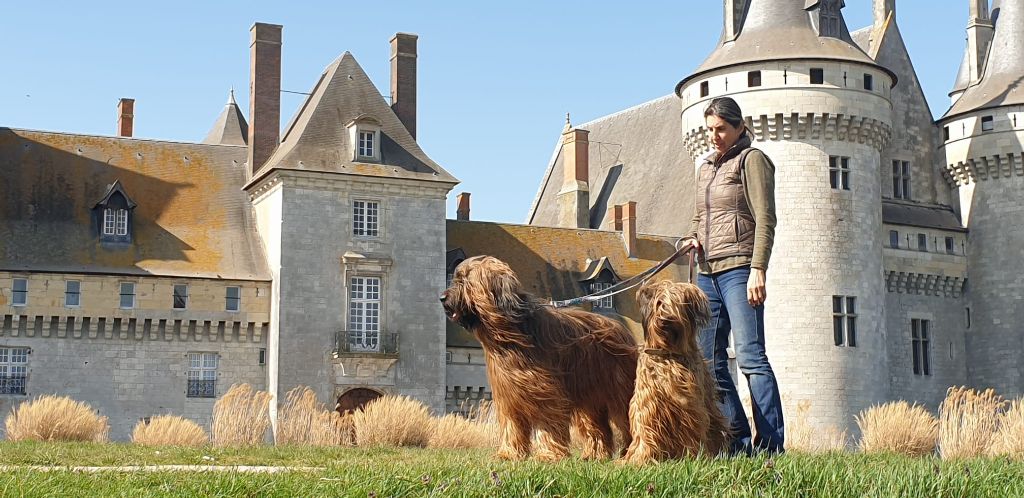 Read more about the article Château de Sully-sur-Loire